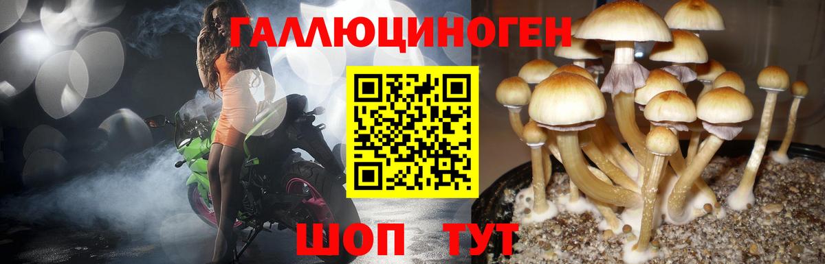 Псилоцибиновые грибы Magic Shrooms  Псилоцибиновые грибы MAGIC MUSHROOMS  Вход с VPN  Новоалександровск 