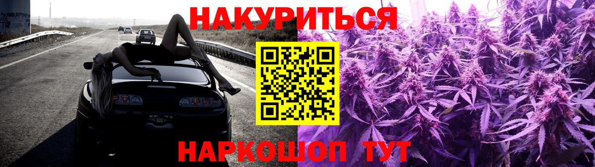 Шишки марихуана план  МАРИХУАНА White Widow  Вход с VPN  Новоалександровск  Бошки марихуана Bruce Banner 